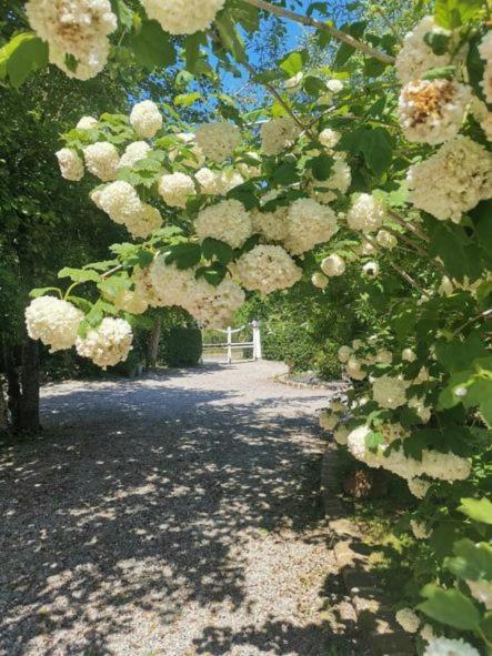 Le Clos De La Rose Gite Bien Etre Wirwignes Eksteriør bilde